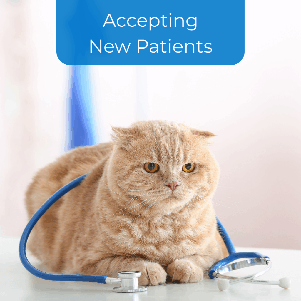 Accepting new patients